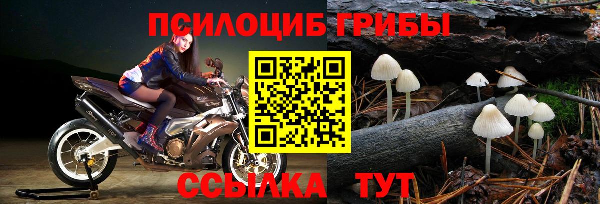 A PVP СК кристаллы  Бошки Шишки  МЕТАМФЕТАМИН  МЕТАДОН  Вход с VPN  ГАШИШ  КОКАИН  Павловский Посад  МЕФ кристаллы 