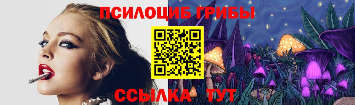 Павловский Посад  Галлюциногенные грибы Psilocybine cubensis  даркнет сайт  Вход с VPN 