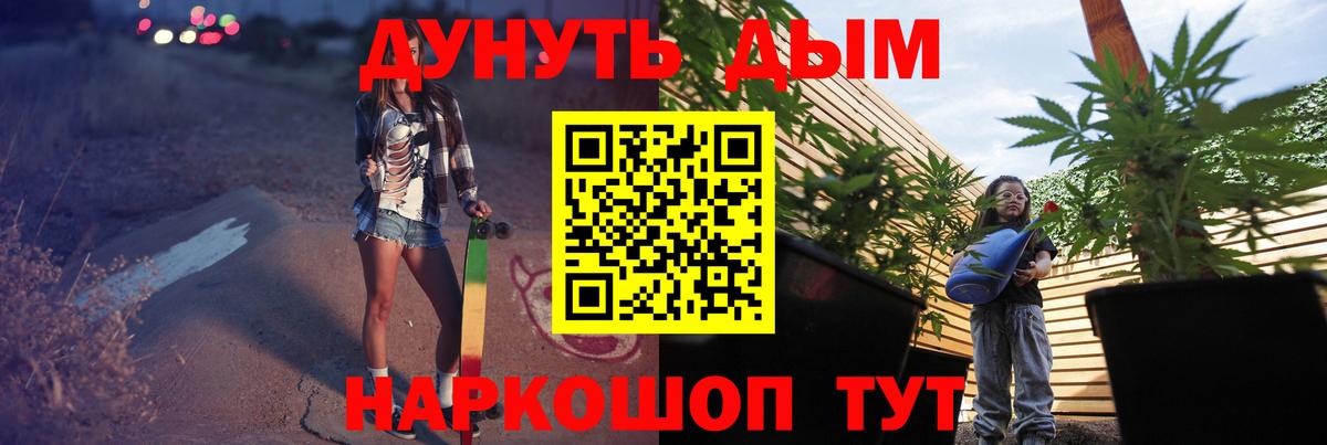 Бошки Шишки семена Павловский Посад